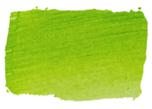 Atelier Artist Pigment Inks 60ml - Sap Green