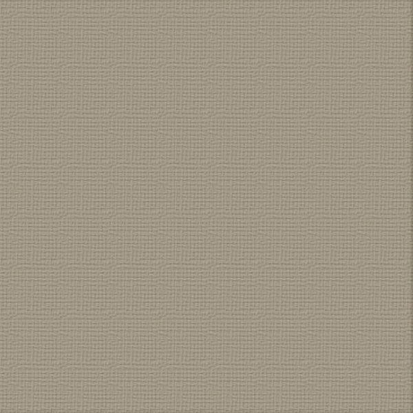 CC 12x12 Textured Cardstock 216gsm - SILVER STAR Pk10