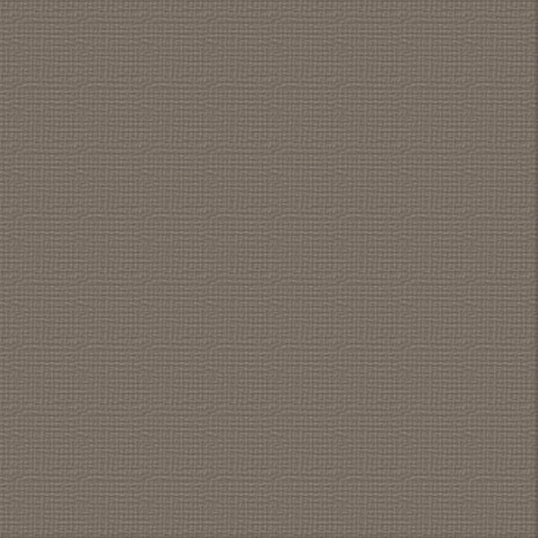 CC 12x12 Textured Cardstock 216gsm - HIPPODROME Pk10