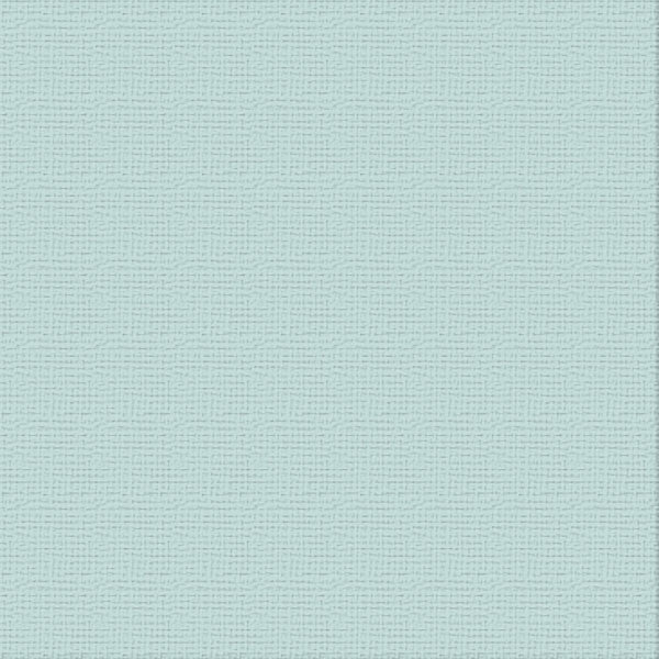 xx BLU JAY A4 Premium Cardstock PK10