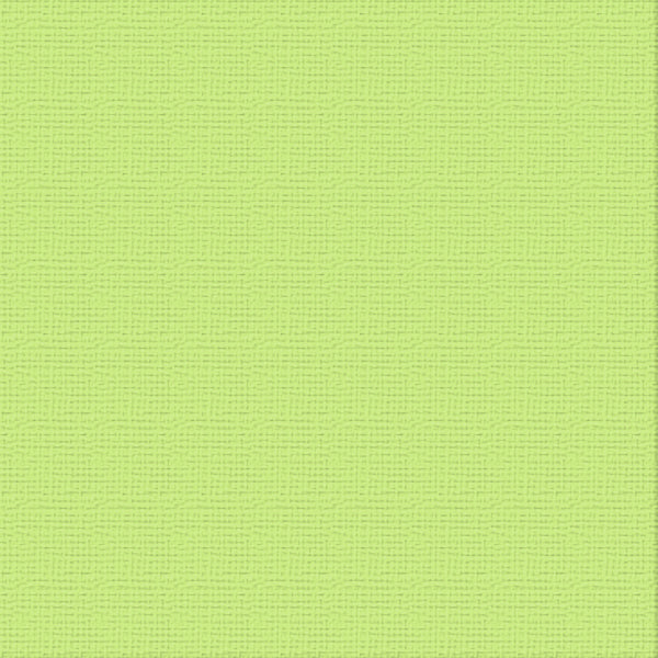 CC 12x12 Textured Cardstock 216gsm - MANTIS Pk10
