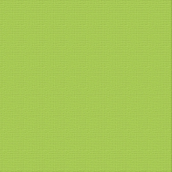 CC 12x12 Textured Cardstock 216gsm - CHRYSALIS Pk10