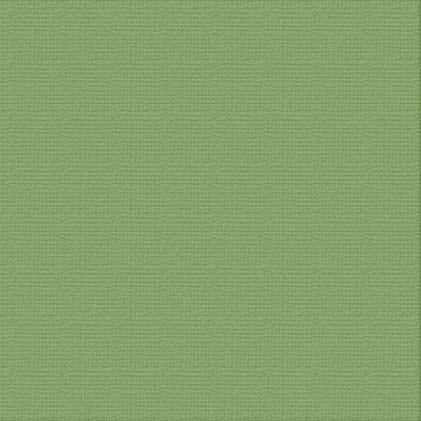 CC 12x12 Textured Cardstock 216gsm - LUSH Pk10