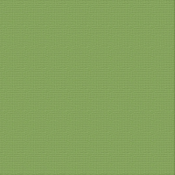 CC 12x12 Textured Cardstock 216gsm - JUNGLE Pk10