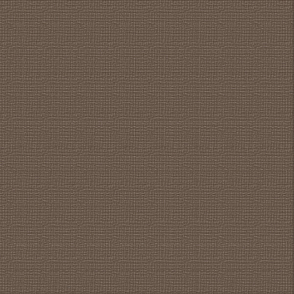 CC 12x12 Textured Cardstock 216gsm - CHOCOLATE Pk10