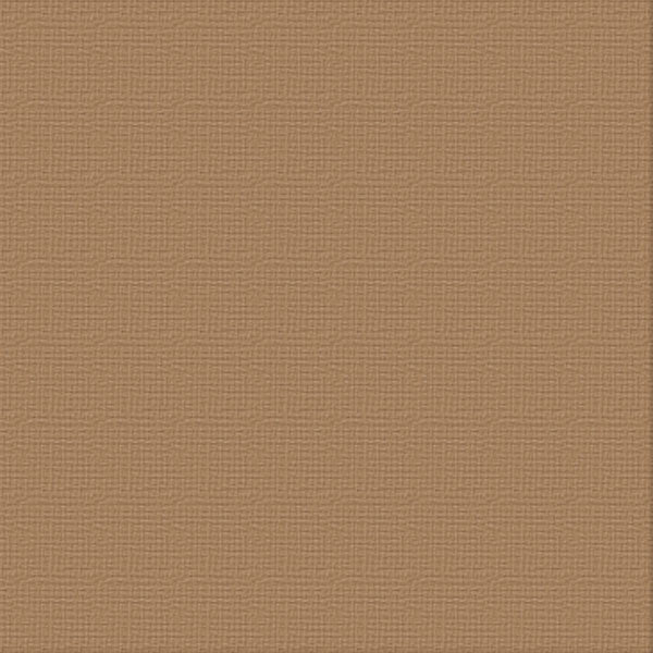 xx MOCHA A4 Premium Cardstock PK10