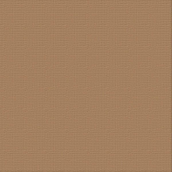 CC 12x12 Textured Cardstock 216gsm - MOCHA Pk10
