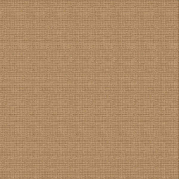CC 12x12 Textured Cardstock 216gsm - CINNAMON Pk10