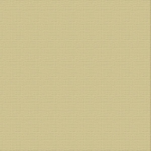CC 12x12 Textured Cardstock 216gsm - DRIFTWOOD Pk10