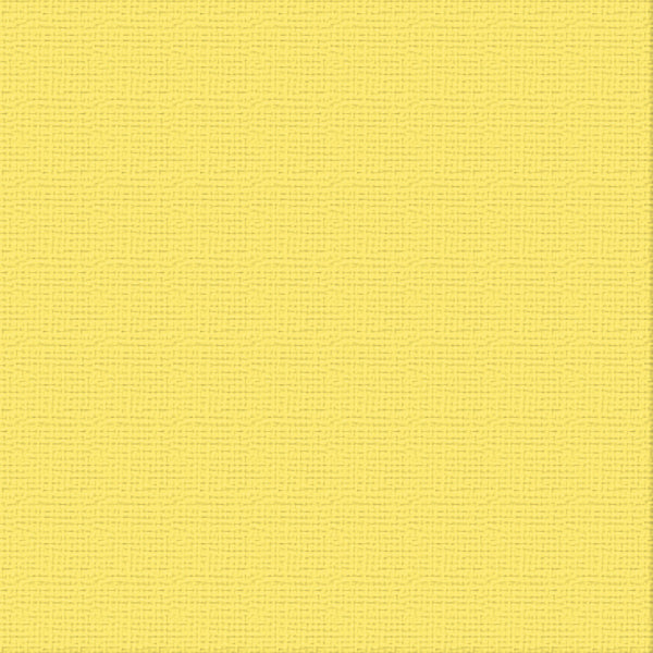 CC 12x12 Textured Cardstock 216gsm - RAINCOAT Pk10