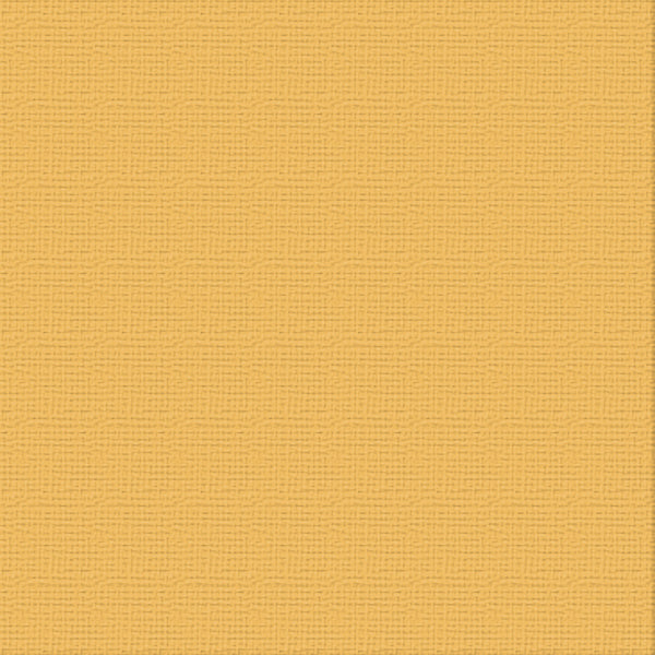 CC 12x12 Textured Cardstock 216gsm - TOPAZ Pk10