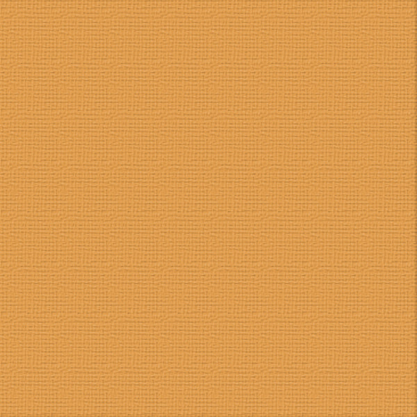 CC 12x12 Textured Cardstock 216gsm - HARVEST Pk10