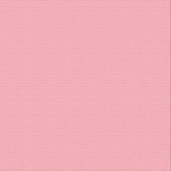 xx PRECIOUS A4 Premium Cardstock PK10