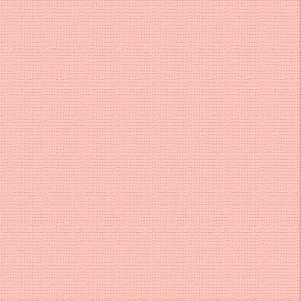 CC 12x12 Textured Cardstock 216gsm - FAIRY WINGS Pk10