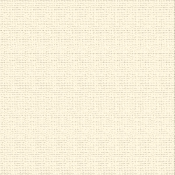 CC 12x12 Textured Cardstock 216gsm - IVORY Pk10