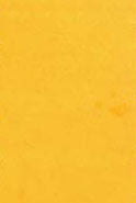 Art Spectrum Artists Gouache 22.5ml Yellow Ochre