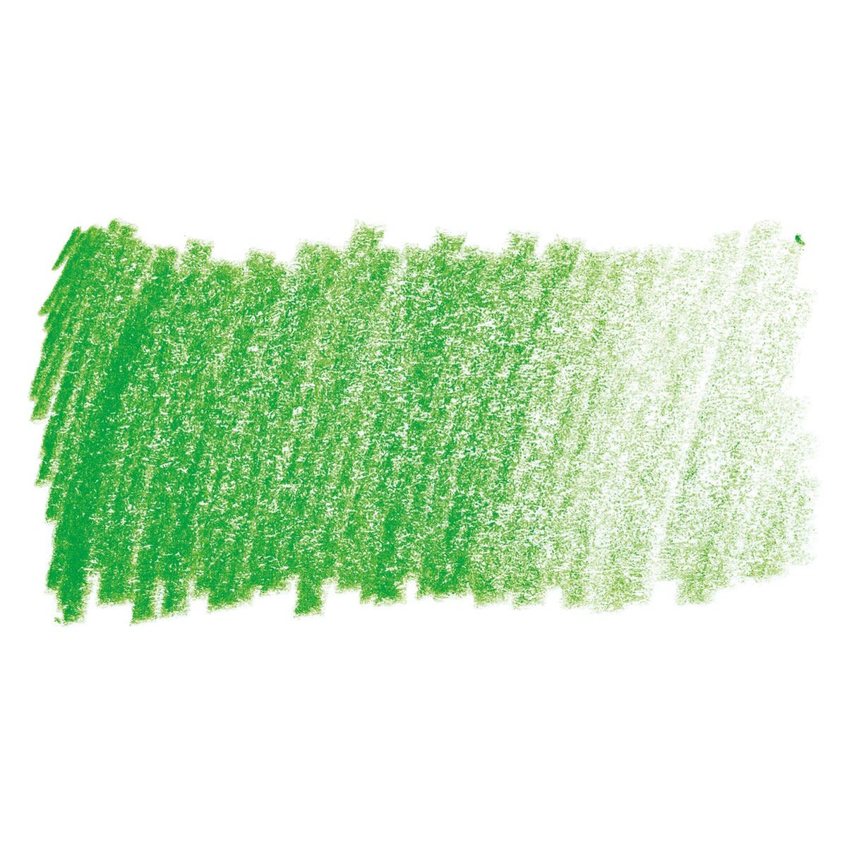 Faber Castell Polychromos Single Pencil LEAF GREEN 112