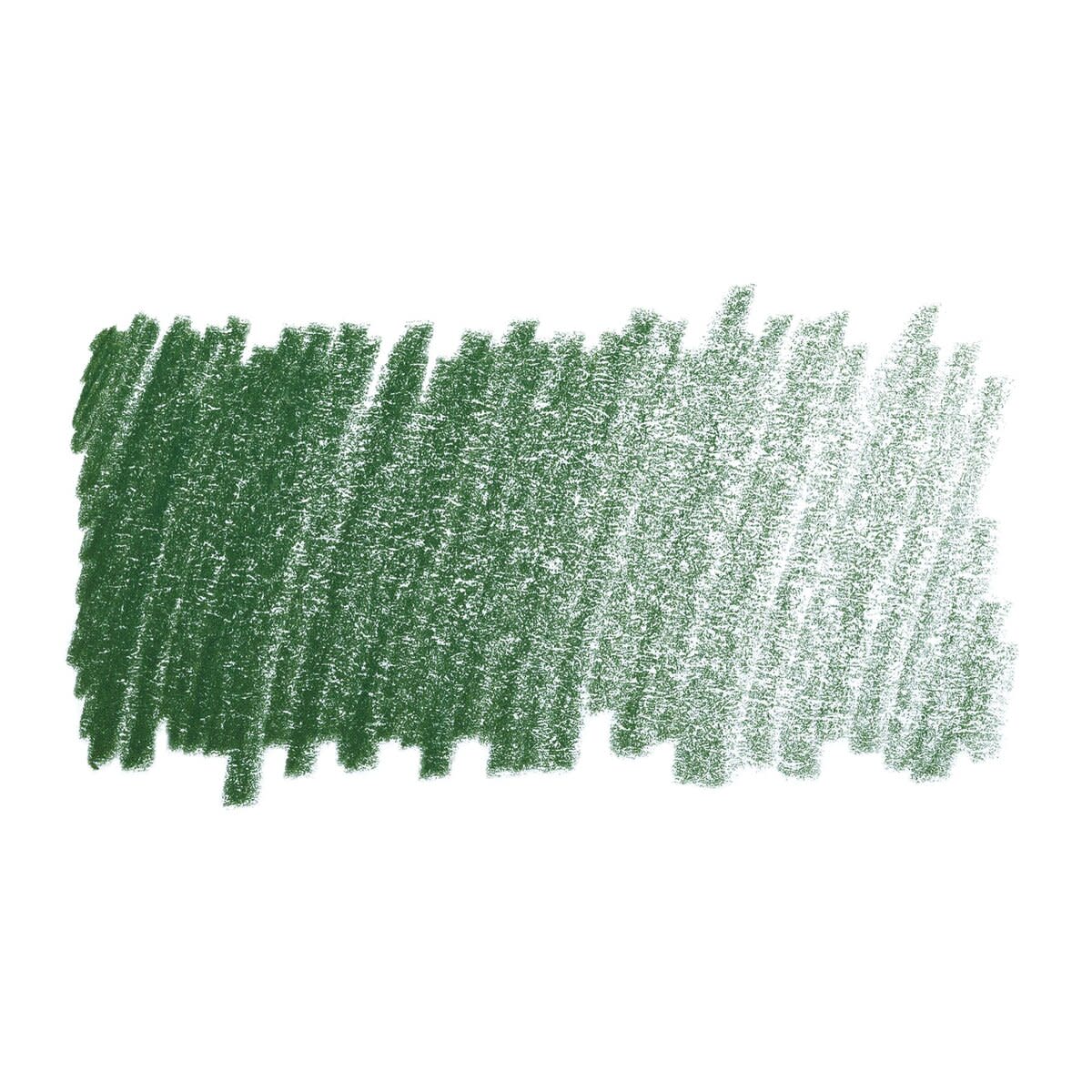 Faber Castell Polychromos Single Pencil JUNIPER GREEN 165