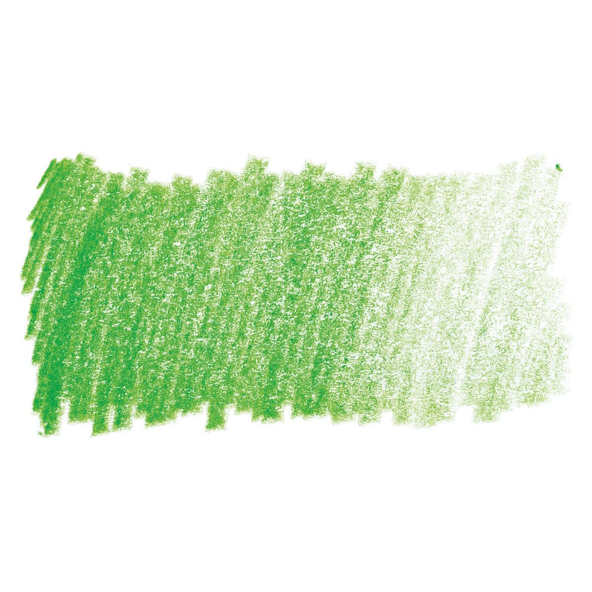 Faber Castell Polychromos Single Pencil GRASS GREEN 166