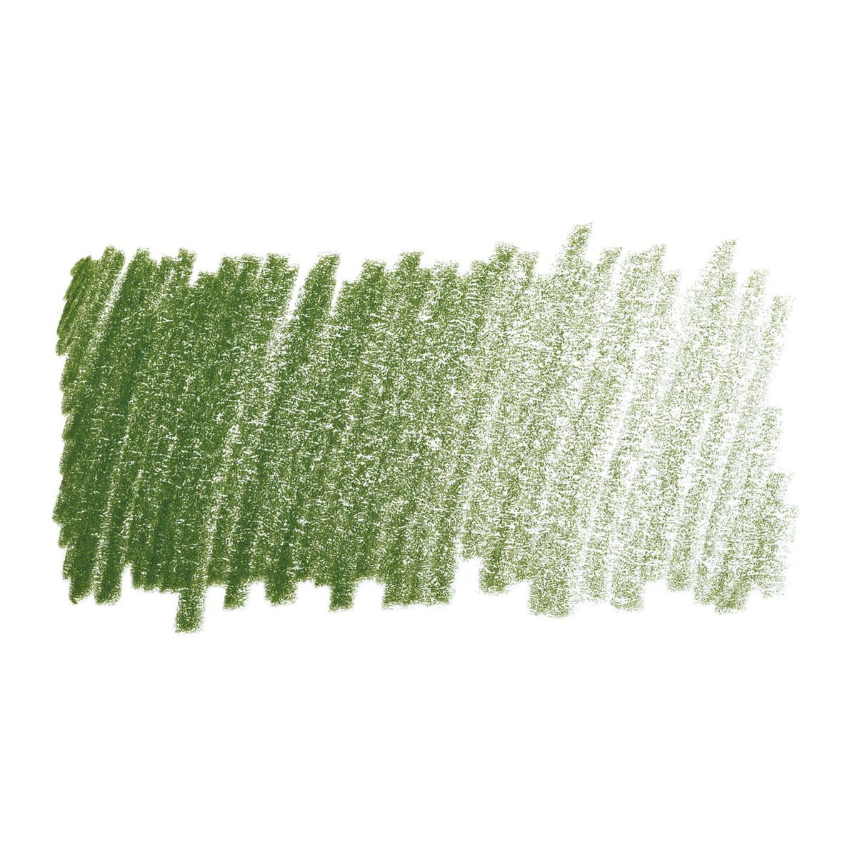 Faber Castell Polychromos Single Pencil PERM GREEN OLIVE 167