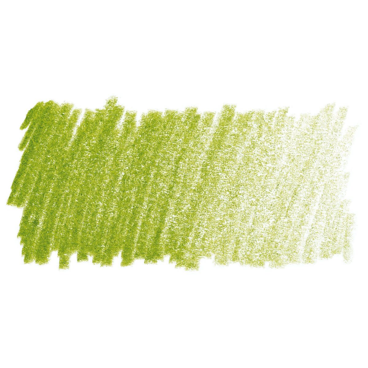 Faber Castell Polychromos Single Pencil EARTH GREEN YELLOWISH 168