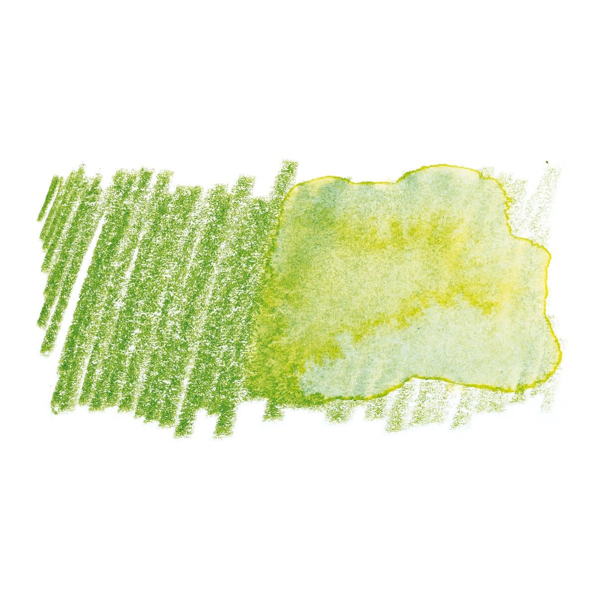 Faber Castell Albrecht Durer Watercolour Single Pencil EARTH GREEN YELLOWISH 168