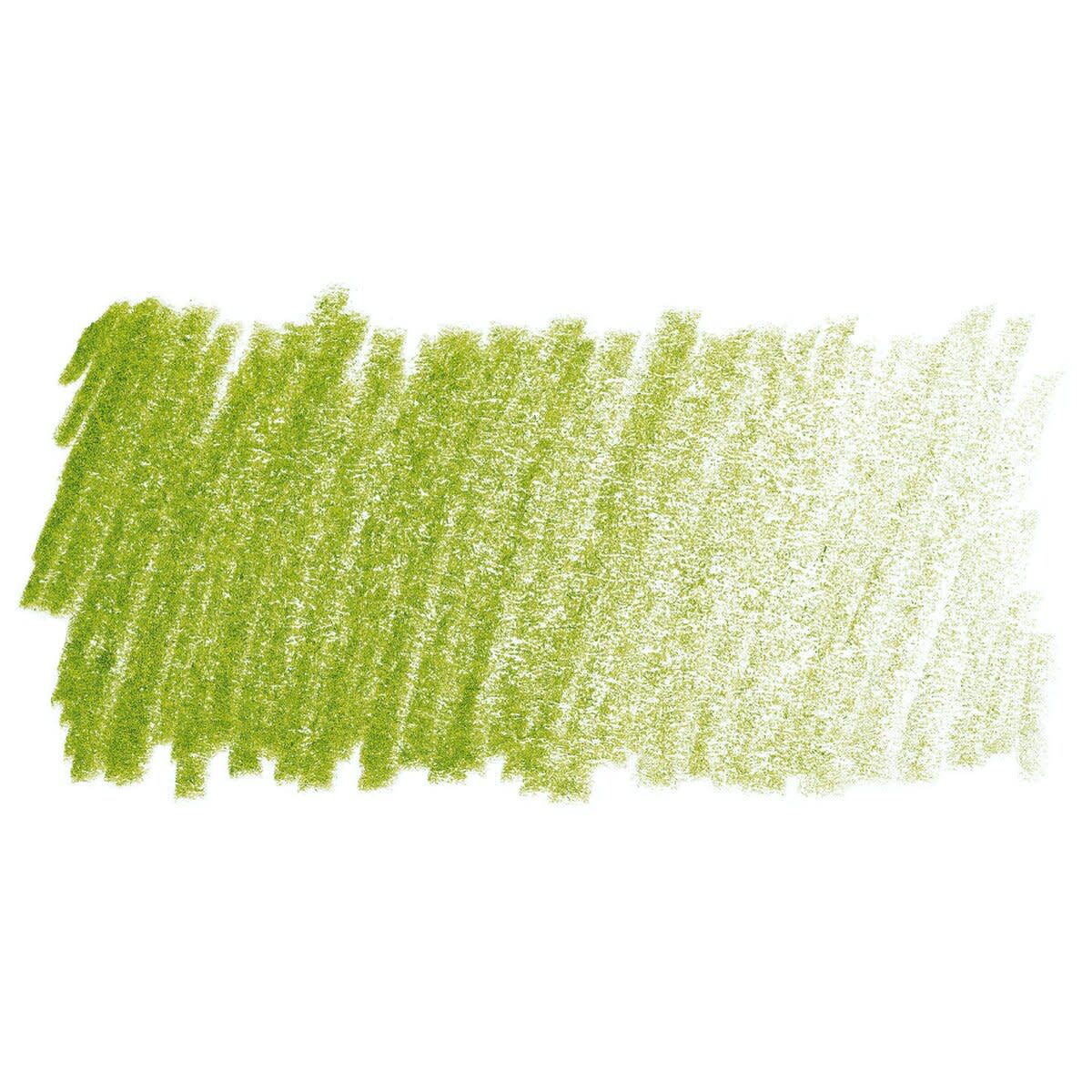 Faber Castell Polychromos Single Pencil MAY GREEN 170