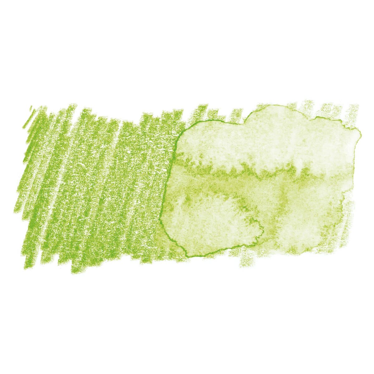 Faber Castell Albrecht Durer Watercolour Single Pencil MAY GREEN 170