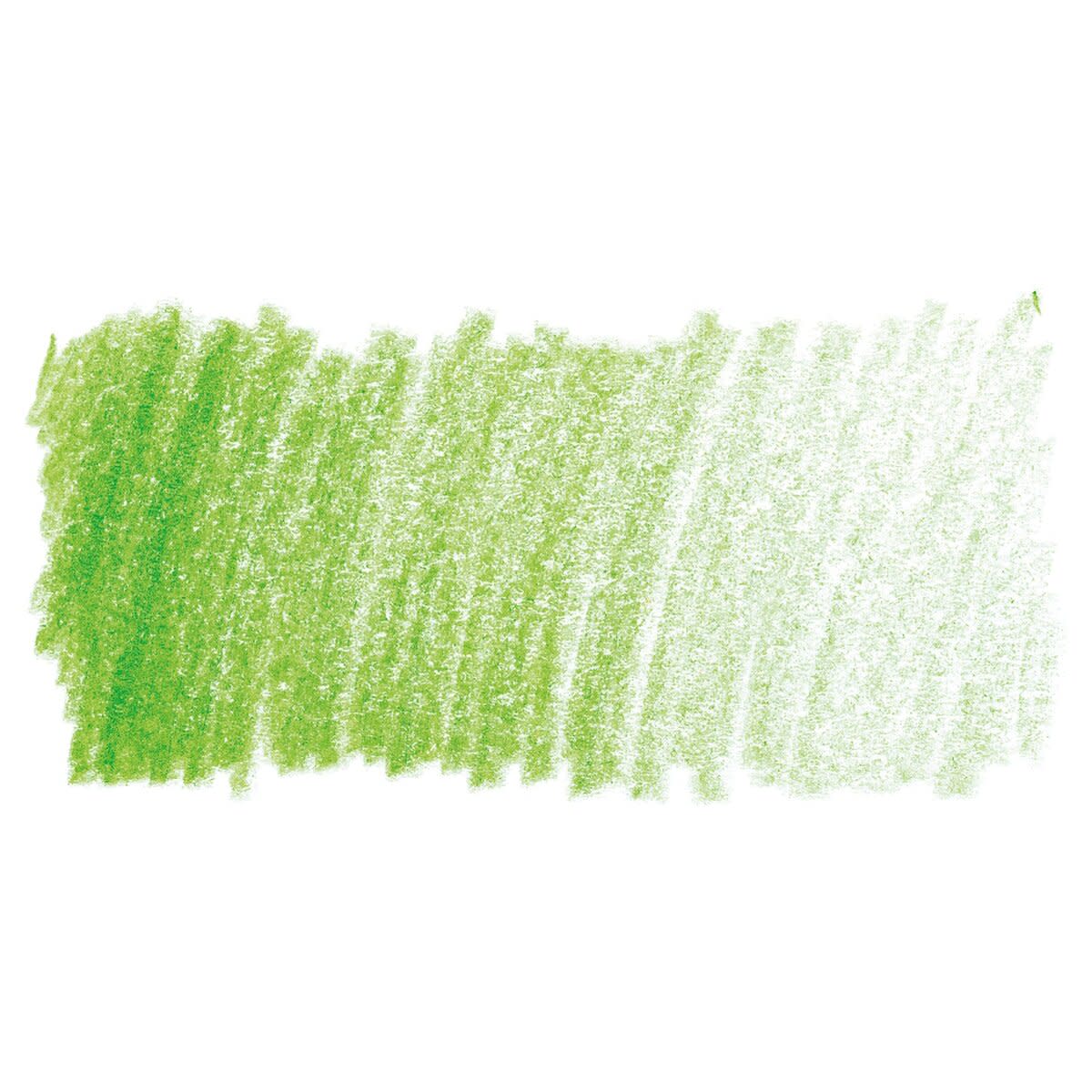 Faber Castell Polychromos Single Pencil LIGHT GREEN 171