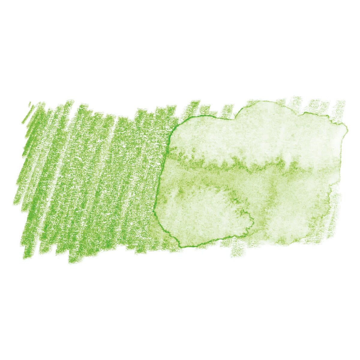 Faber Castell Albrecht Durer Watercolour Single Pencil LIGHT GREEN 171