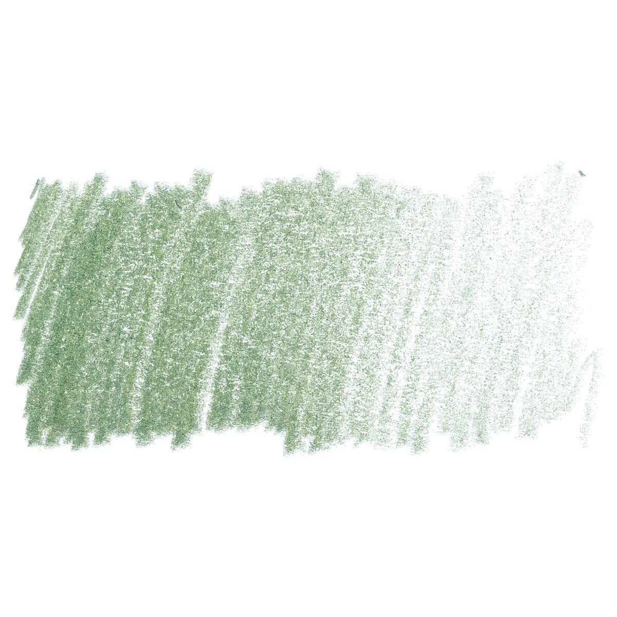 Faber Castell Polychromos Single Pencil EARTH GREEN 172