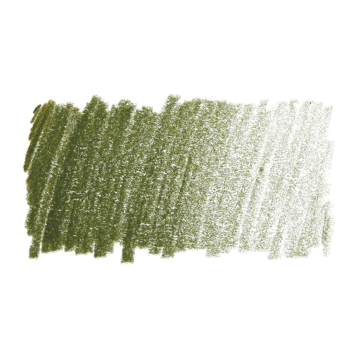 Faber Castell Polychromos Single Pencil OLIVE GREEN YELLOWISH 173