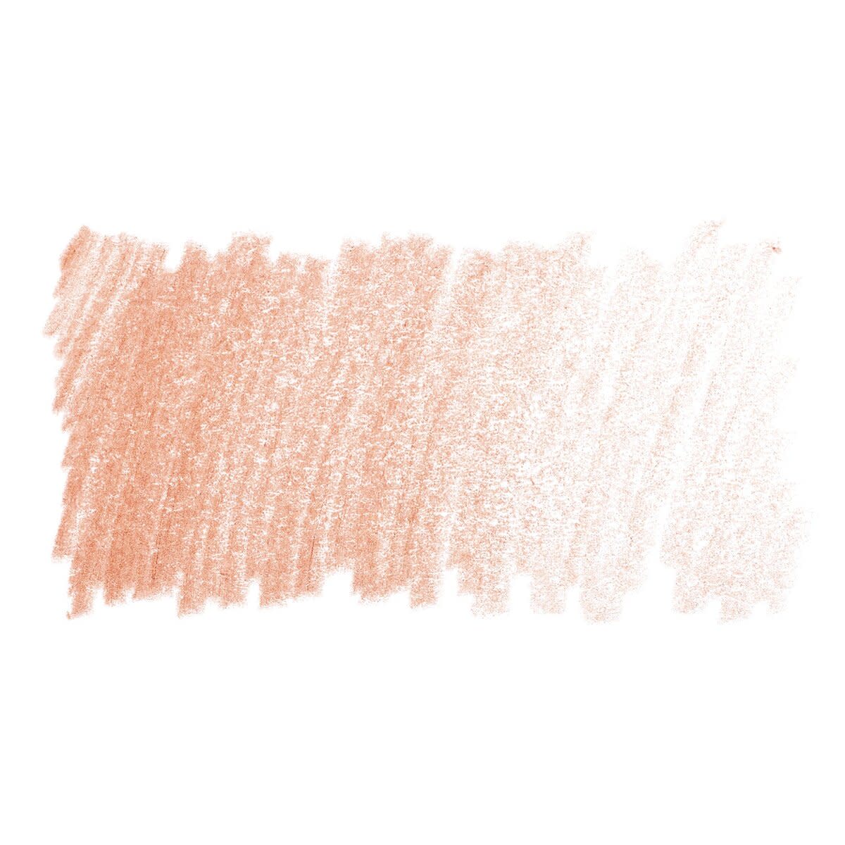 Faber Castell Polychromos Single Pencil CINNAMON 189