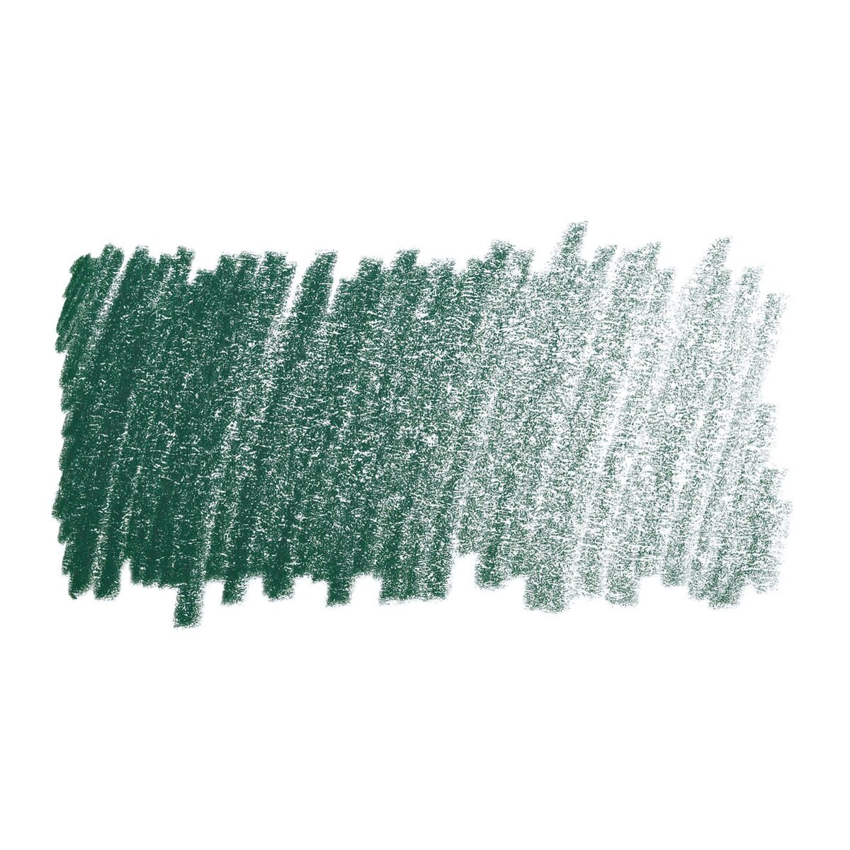 Faber Castell Polychromos Single Pencil PINE GREEN 267