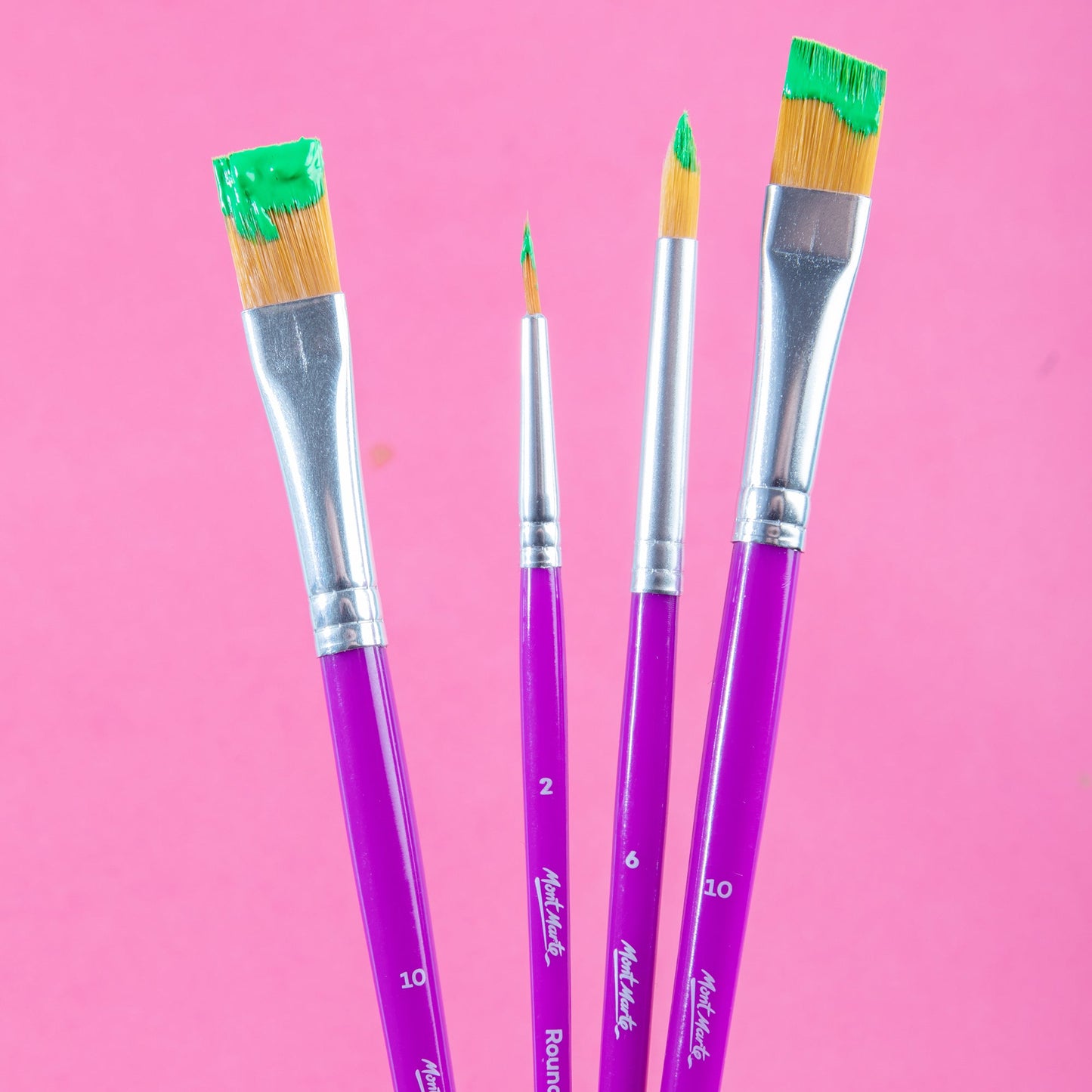 Mont Marte Discovery Assorted Brush Set 4pc