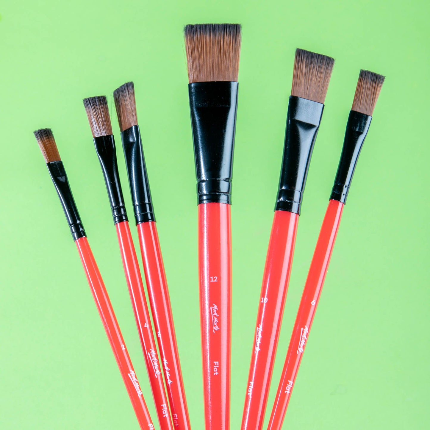 Mont Marte Discovery Assorted Brush Set 6pc