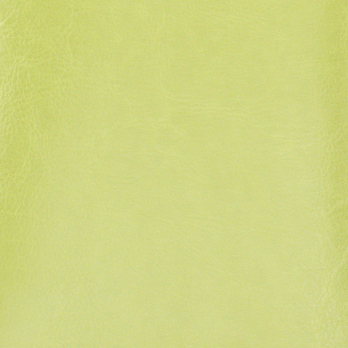 CC Faux Leather 12X12 3D Ring Album KIWI GREEN