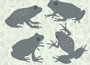 FDC Four Frogs Steel Cutting Die 4pcs