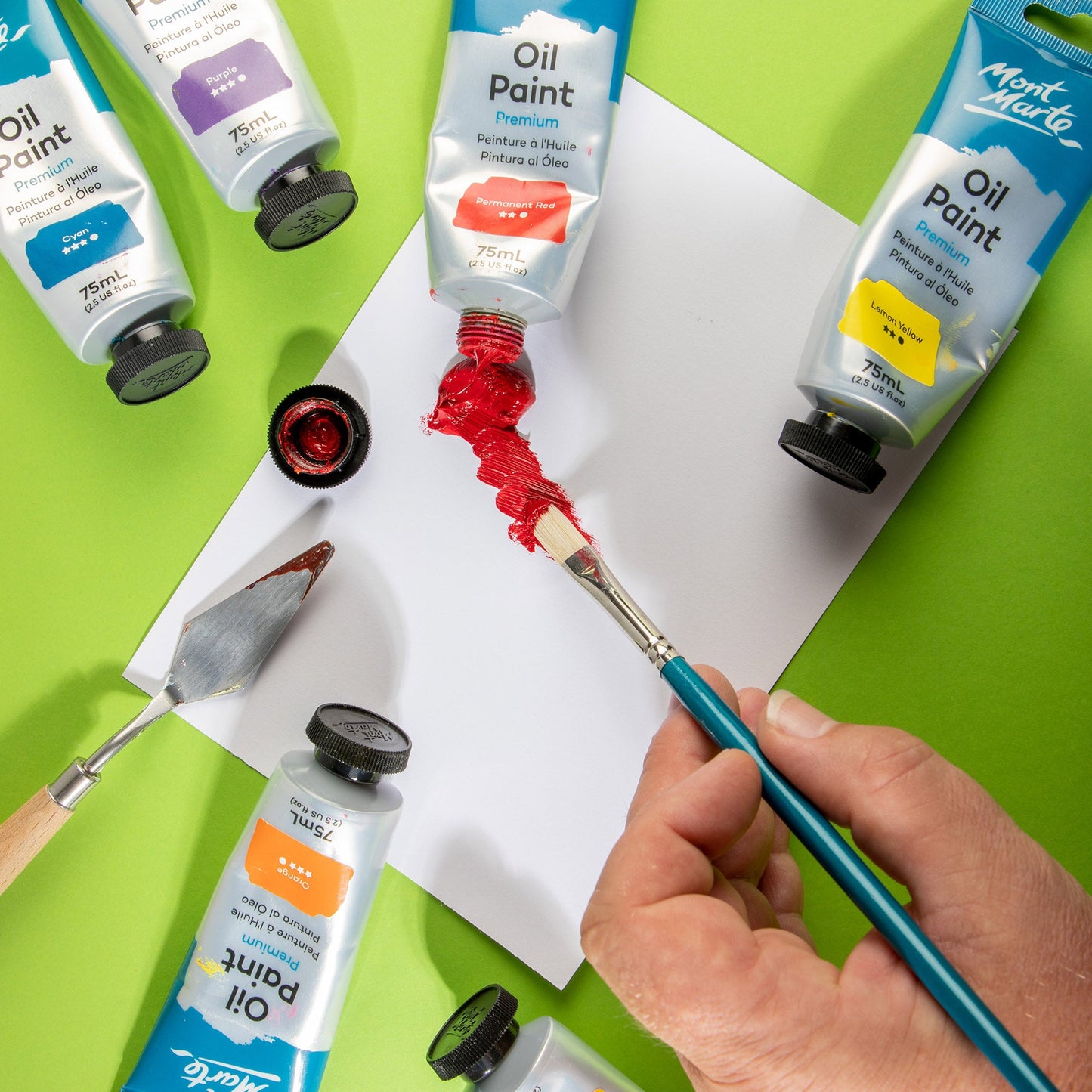 Mont Marte Artist Brush Oil Chungking Filbert 6