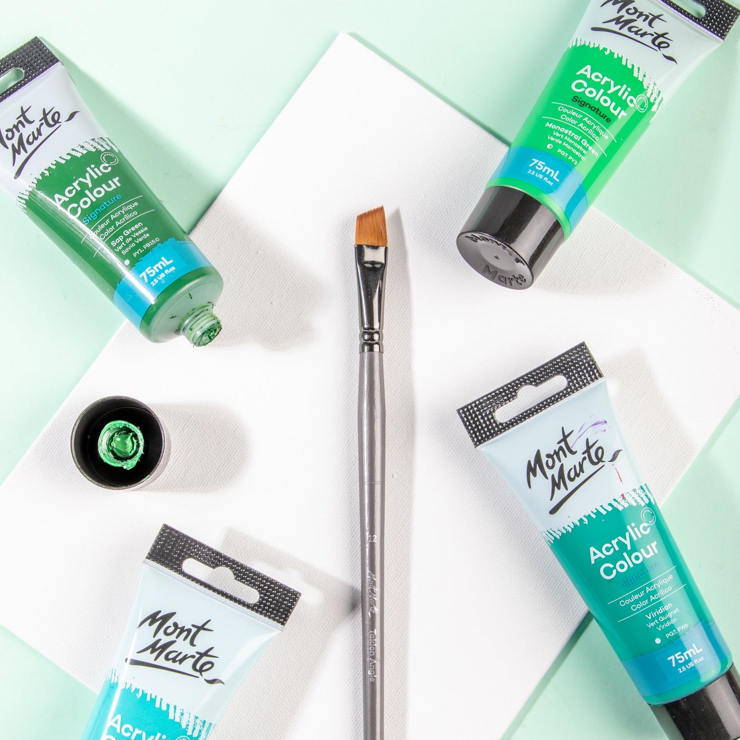 Mont Marte Artist Brush Acrylic Taklon Angle 12