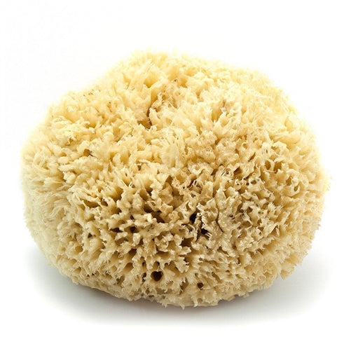 Artist Sponge 127x182mm