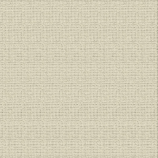 Cardstock - 12x12 - Delicate Medlar (216gsm)