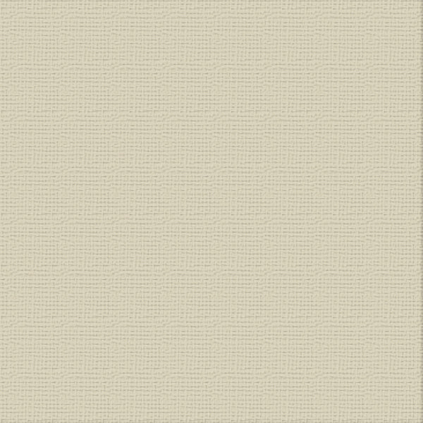 CC 12x12 Textured Cardstock 216gsm - DELICATE MEDLAR Pk10