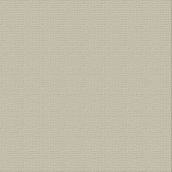 CC 12x12 Textured Cardstock 216gsm - WHISPER Pk10
