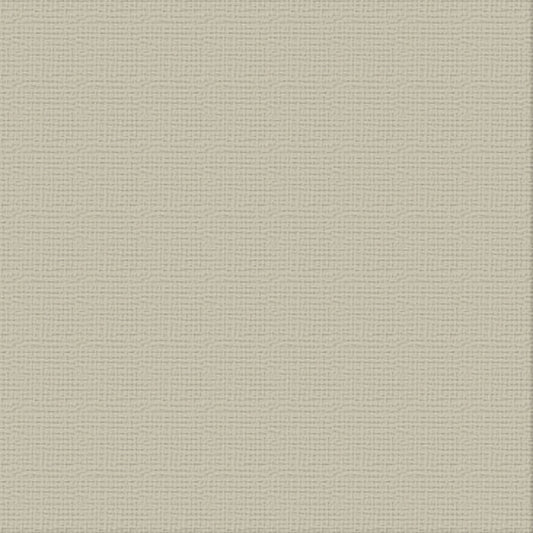 CC 12x12 Textured Cardstock 216gsm - WHISPER Pk10