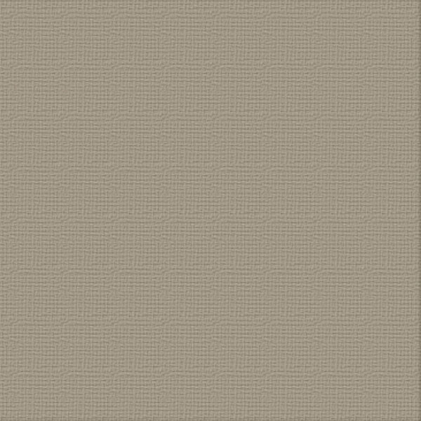 Cardstock - 12x12 - Silver Star (216gsm)