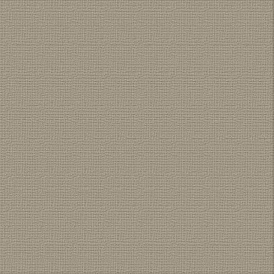Cardstock - 12x12 - Silver Star (216gsm)