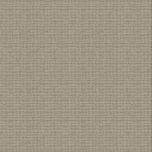 CC 12x12 Textured Cardstock 216gsm - SILVER STAR Pk10