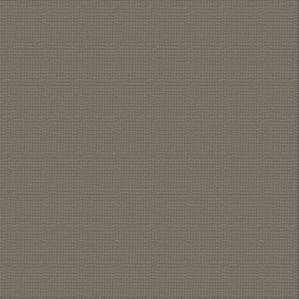 Cardstock - 12x12 - Hippodrome (250gsm)