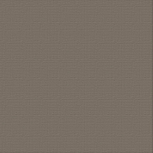 Cardstock - 12x12 - Hippodrome (250gsm)